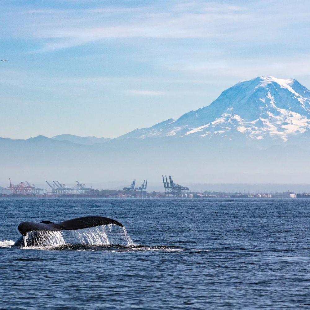 9 Best Places to Scuba Dive in the US